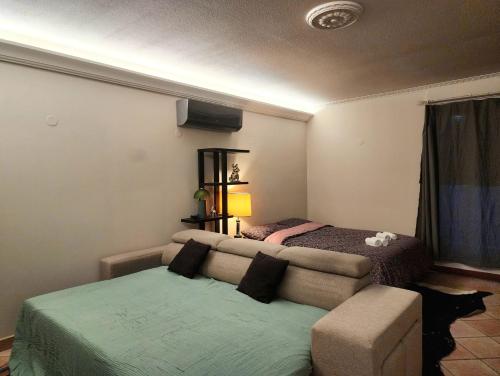 Private room in shared apartment, Toulouse (fotografie 7)
