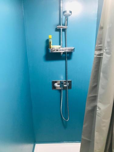 Chambre Darwin SDB WC et Terrasse privés, Bordeaux (photo 10)
