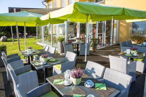 Hotel am Müritz-Nationalpark - image 2