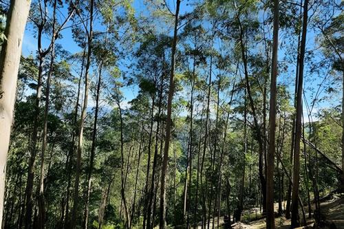 Chale Neve da Montanha com por do sol in Santa Clara