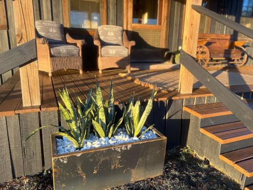 12-ACRES - Cabin Fishing Pond 2 Bedroom Sleeps 4-5