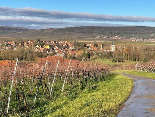 La chambre d hôtes By Georges (La chambre d hotes By Georges) in Scharrachbergheim-Irmstett