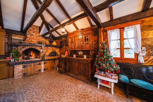 Pool Village House Breznica in Hrascina