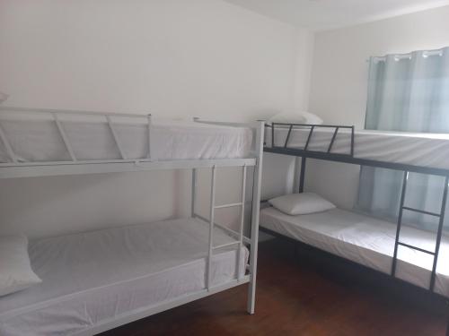 4-Bed Male Dormitory Room  room in Hostel Rota do Sol