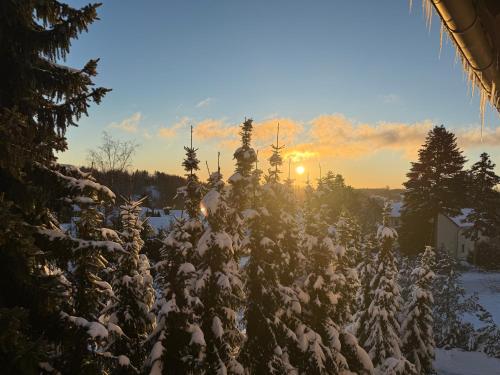 Pandangan, Harzer Traum - renoviert, inklusive Wäsche und WLAN (Harzer Traum - renoviert, inklusive Wasche und WLAN) in Braunlage