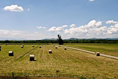 Tenuta Rivalazzo