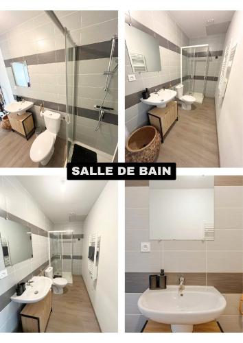 Shower, Le Grand RepublicainT2 in Le Peage De Roussillon