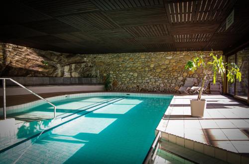 Swimming pool, Ferienwohnung D19 in Orselina