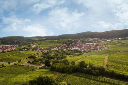 Winzerlodge, Wohnung Hatzelberg in جليسزيلين-جليشورباش