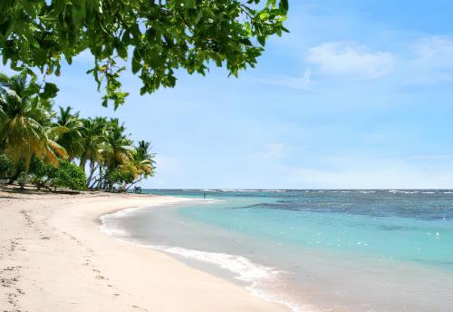 View, Bungalow charmant a Bouillante avec terrasse et barbecue in Pointe-Noire