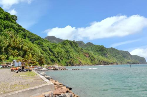 Вид, Studio cocooning a Saint Anne / 27 m² / jardin fleuri in Сент-Анна