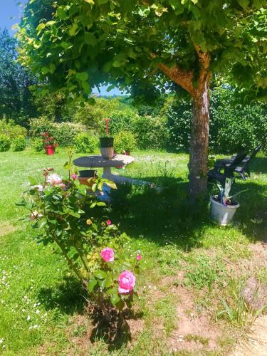 Apartment with 3 bedrooms in Toulonjac with enclosed garden and WiFi 60 km from the beach - image 6