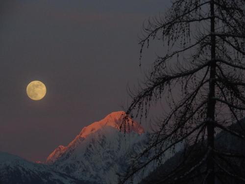 Studio Raccard Cendré - image 13