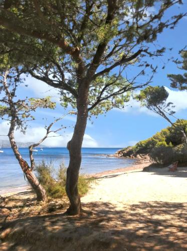 House with 2 bedrooms in Toulon with enclosed garden and WiFi 4 km from the beach - image 2