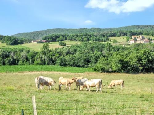 Villa with 4 bedrooms in Lherm with private pool furnished terrace and WiFi - image 14