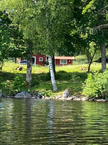 Joarsbo, Stuga 1, Sjölyckan, Kalv (foto 4)