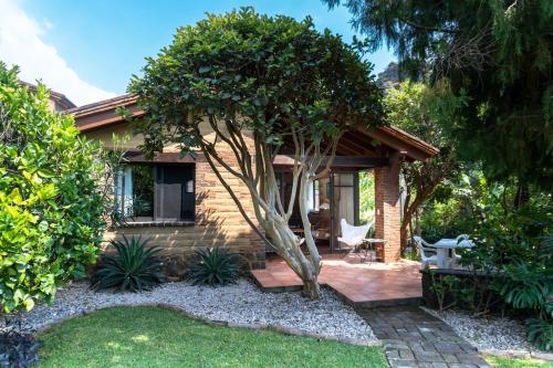 ระเบียง/ชานเรือน, Charming cabin with Scenic view in Tepoztlán (Charming cabin with Scenic view in Tepoztlan) in ซานเปโดร