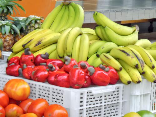 外部景觀, Studio agréable avec vue sur la mer à Marigot - 30 m² + Jardin. (Studio agreable avec vue sur la mer a Marigot - 30 m² + Jardin.) in 哥西爾