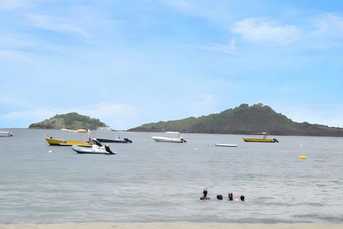 外部景觀, Studio avec vue sur mer à Marigot - 30 m² - Jardin (Studio avec vue sur mer a Marigot - 30 m² - Jardin) in 哥西爾