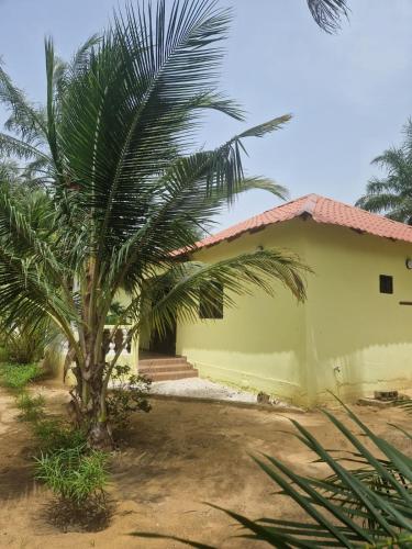 cazasamba in Cap Skirring