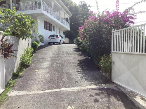 Oasisse in Vieux Fort