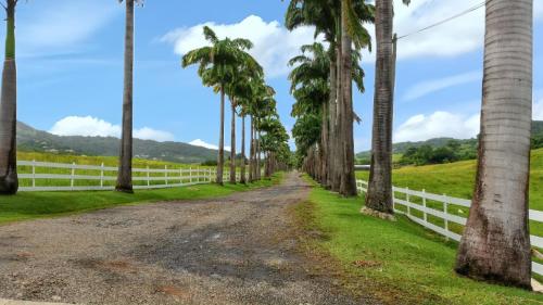Vista exterior, Appartement spacieux avec vue montagne à Le Marin, 82 m². (Appartement spacieux avec vue montagne a Le Marin, 82 m².) in Riviere-Pilote