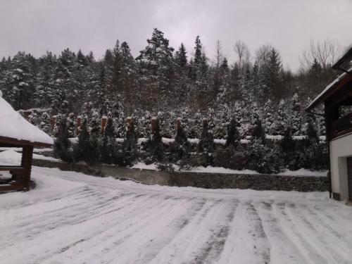 周邊環境, Villa Maxim in 斯希德尼齊亞