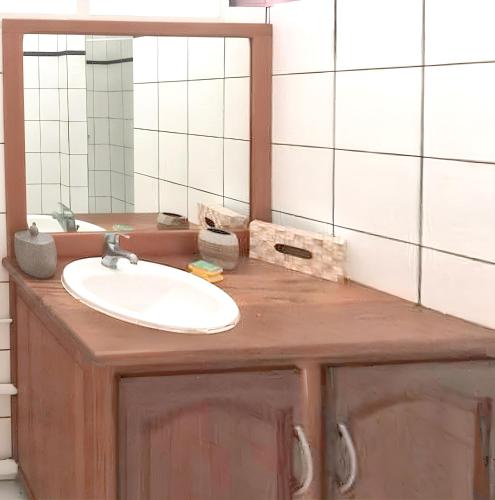 Banheiro, Studio avec terrasse à Capesterre-de-Marie-Galante 20 m² vue mer (Studio avec terrasse a Capesterre-de-Marie-Galante 20 m² vue mer) in Capesterre-de-Marie-Galante