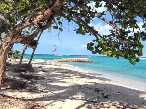 Vista, Studio avec terrasse à Capesterre-de-Marie-Galante 20 m² vue mer (Studio avec terrasse a Capesterre-de-Marie-Galante 20 m² vue mer) in Capesterre-de-Marie-Galante