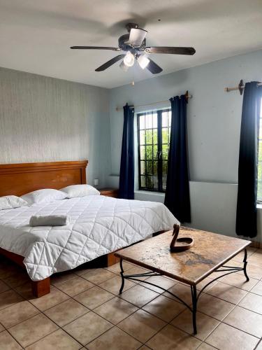King Suite room in Suites Chingón