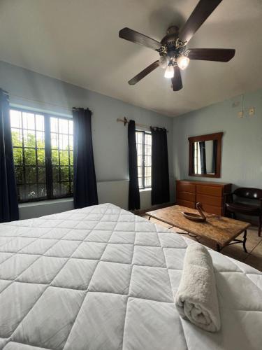 Suites Chingón in Guadalajara, Mexico