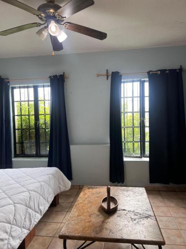 Suites Chingón in Guadalajara, Mexico