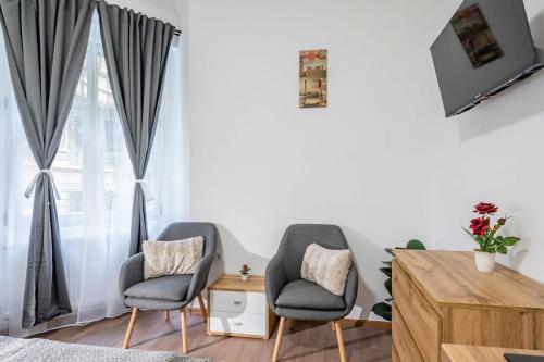 Comfy Studio in the center of the city - image 13