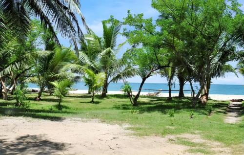 Garden, Charming Studio in Foulpointe, Sea View and Garden, 30 m² in Foulpointe