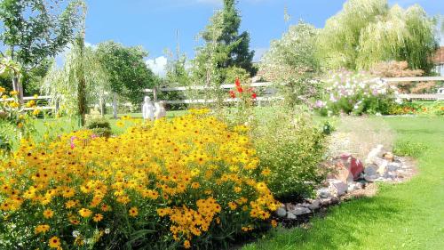 花園, Appartement cosy aux Authieux Papion 15 m² avec jardin privatif in 梅濟東卡農