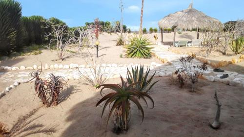 Сад, Charming House in Anakao with Garden and Terrace in Anakao