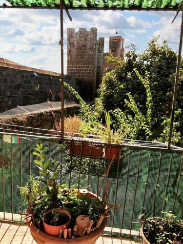 Charming House in Barbarano Romano with Terrace and Fireplace