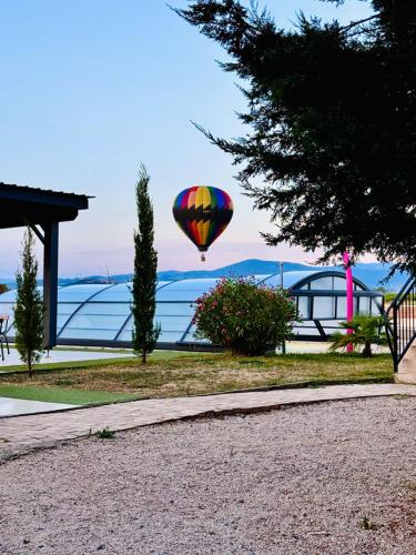 ทัศนียภาพ, Domaine des Vignes d'Hôtes (Domaine des Vignes d'Hotes) in บาญอล