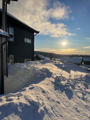 Apartment Sjusjøen in Sjusjoen