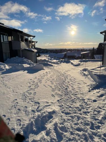 Apartment Sjusjøen in Sjusjoen