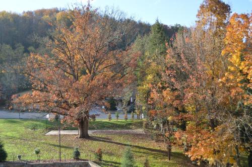 Brookside Lodge - Gatlinburg - On the River, Gatlinburg (Foto 10)
