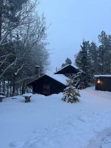 Hallingstua, Oslo (foto 2)