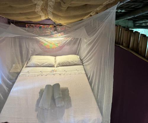 Remo Hostel - 전망