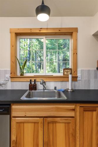 Alpine Drift | Hot Tub, Pet Friendly, Wifi in Packwood (WA)