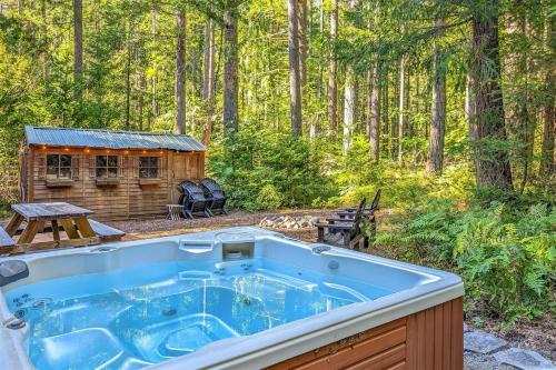 Alpine Drift | Hot Tub, Pet Friendly, Wifi in Packwood (WA)