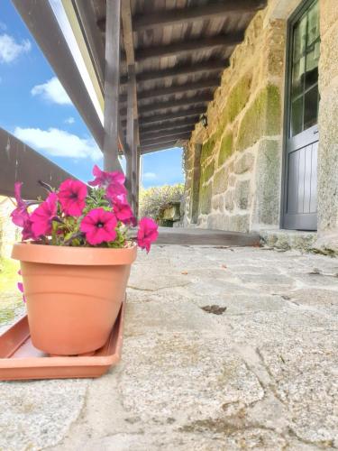 House with one bedroom in Agueda with wonderful mountain view shared pool enclosed garden 55 km from the beach - image 8