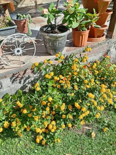 Hostal Vista Boquete