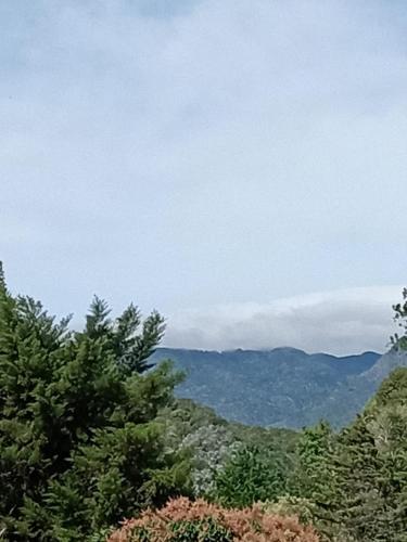 Hostal Vista Boquete