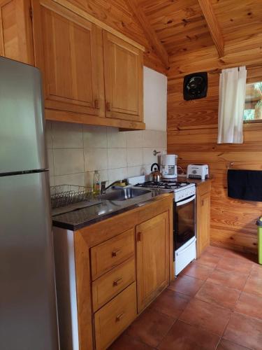 The Old Viking Fly Fishing- Alojamiento in Junín de los Andes