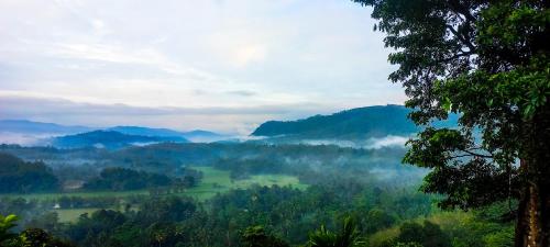 . Dew Drops Nature Villa